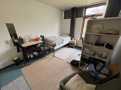 Room for rent 550 euro Aan 't Verlaat, Delft