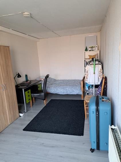 Room for rent 450 euro Borggrevelanden, Enschede