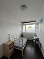 Room for rent 445 euro Kramersgildeplein, Arnhem