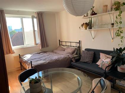 Room for rent 547 euro Biezendwarsstraat, Nijmegen