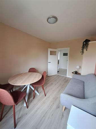 Kamer in Groningen, Rivierenhof op Kamernet.nl: Lichte kamer te huur
