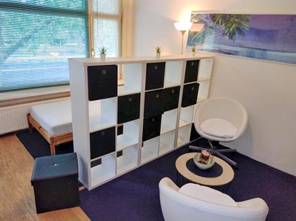Zimmer zu vermieten 560 Euro Mijnsherenlaan, Rotterdam