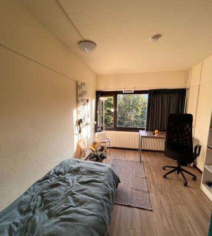 Room for rent 443 euro Professor Bromstraat, Nijmegen