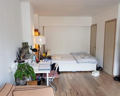 Kamer te huur 800 euro Franselaan, Rotterdam