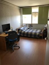 Kamer te huur 485 euro Borggrevelanden, Enschede
