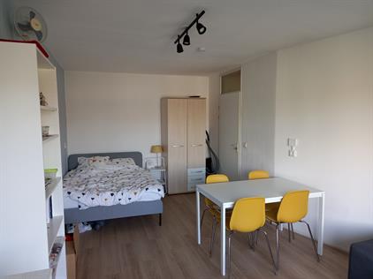Room for rent 616 euro Thorbeckehof, Oegstgeest