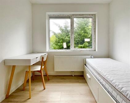 Room for rent 835 euro Alpert van Metzhof, Amsterdam