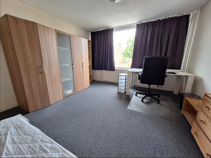Zimmer bei Remuslaan In Eindhoven