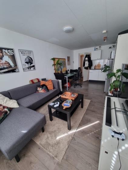 Room for rent 1005 euro Palmstraat, Amersfoort