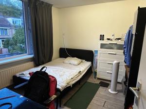 Room for rent 1050 euro Graan voor Visch, Hoofddorp