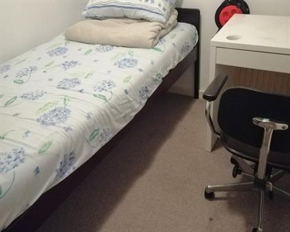 Kamer te huur 320 euro Titus Brandsmastraat, Velp-Rheden