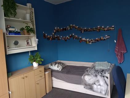 Kamer te huur 475 euro Mathijs Heugenstraat, Maastricht