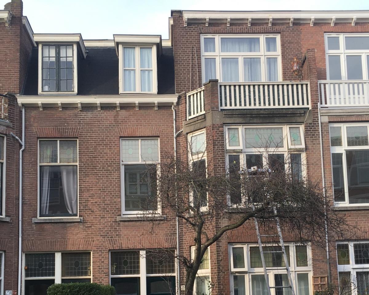 Kamer te huur in de Van Aerssenstraat in Den Haag