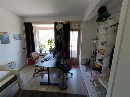 Room for rent 690 euro Papsouwselaan, Delft
