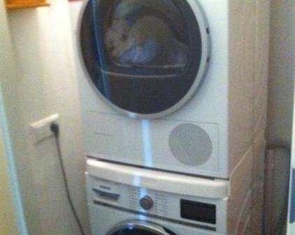 Room for rent 1000 euro Willy Sluiterstraat, Amsterdam