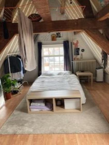 Kamer te huur 650 euro Oude Delft, Delft