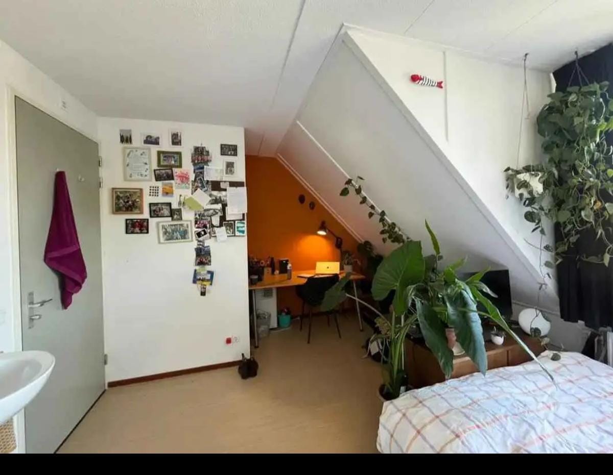 Kamer te huur in Wageningen – Oude Bennekomseweg – foto 4