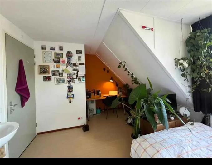 Zimmer bei Oude Bennekomseweg In Wageningen