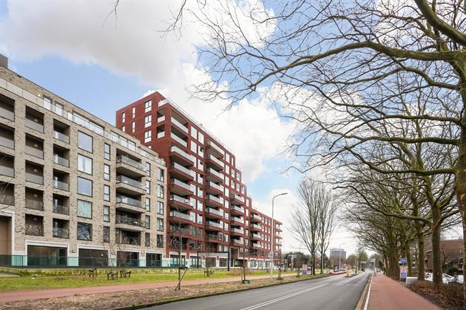Zimmer bei Escamplaan In Den Haag