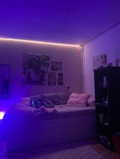 Room for rent 516 euro Wouwsestraat, Bergen op Zoom