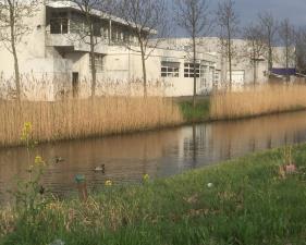 Kamer te huur 450 euro Deinzestraat, Breda