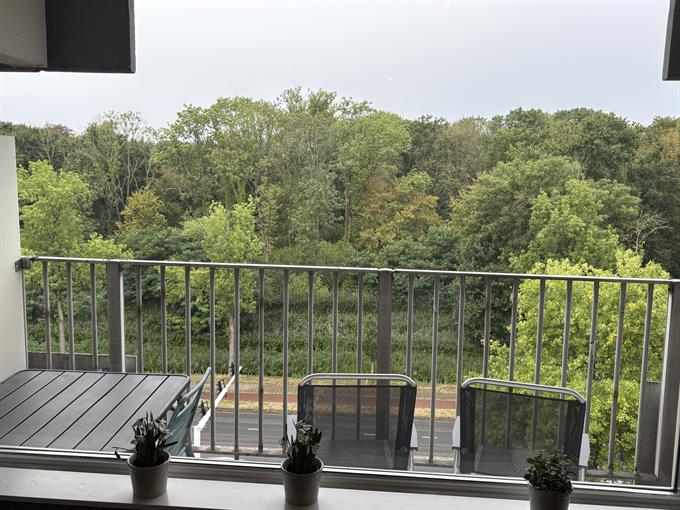 Wohnung bei Geldropseweg In Eindhoven