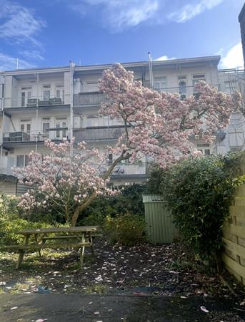 Zimmer bei Orteliusstraat In Amsterdam