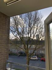 Kamer te huur 695 euro Dierenriemstraat, Groningen