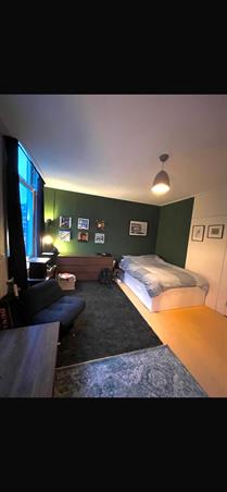 Kamer in Leiden, Haagweg op Kamernet.nl: Grote kamer in centrum Leiden