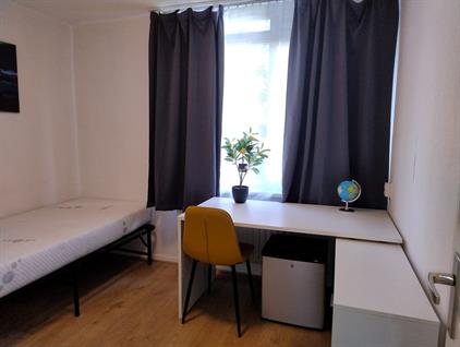 Room for rent 800 euro Schrijnwerkersgaarde, Den Haag