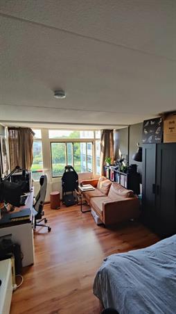 Zimmer bei Van Hasseltlaan In Delft