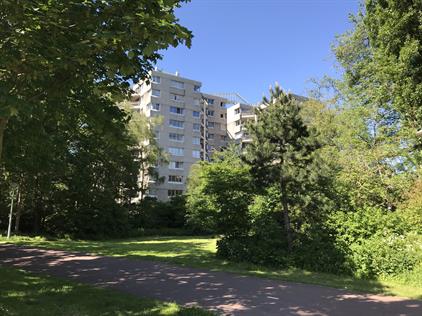 Room for rent 650 euro Groenhoven, Amsterdam