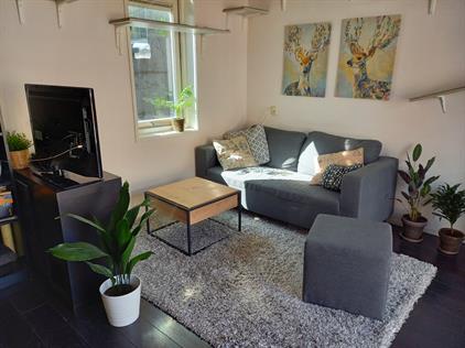 Apartment for rent 1050 euro Pieterstraat, Utrecht