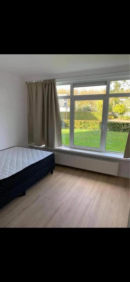 Room for rent 800 euro Menno ter Braakstraat, Rotterdam