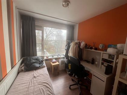 Room for rent 749 euro De Lairesselaan, Rotterdam