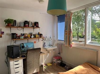 Room for rent 430 euro Turkooisstraat, Groningen