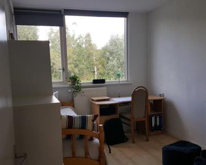 Room for rent 385 euro Brandemeer, Leeuwarden