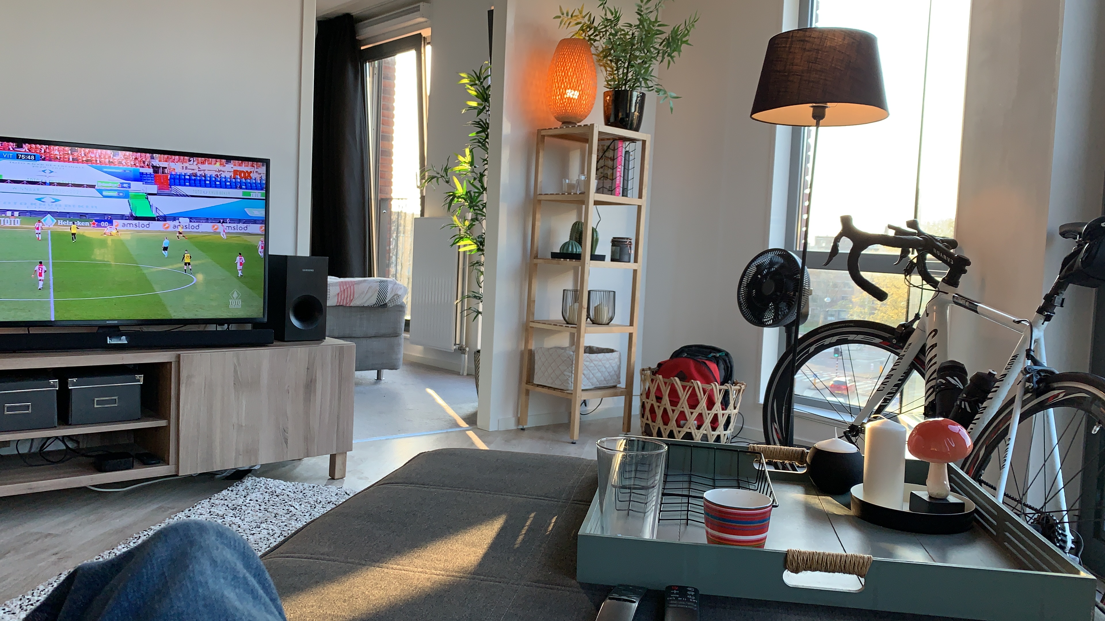 appartementen te huur op Pontanusstraat