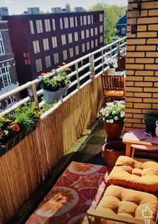Appartement te huur in Breda – Concordiastraat – foto 4