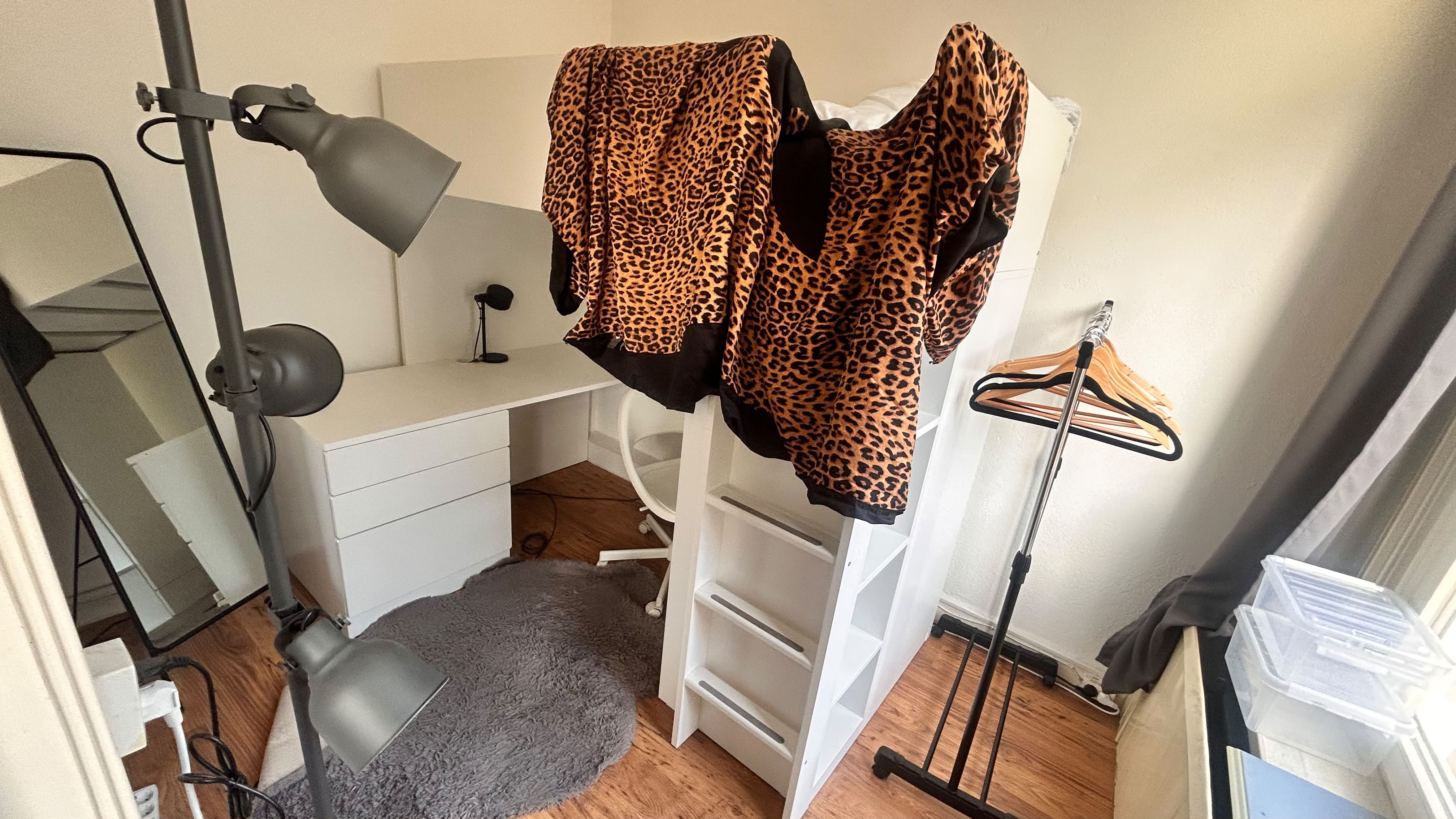 Studio aan Zijlweg, Haarlem 5