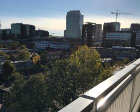 Room for rent 1350 euro Parnassusweg, Amsterdam