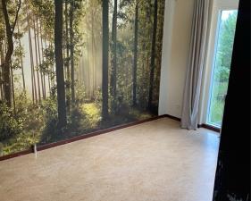 Room for rent 295 euro Weteringdreef, Zoetermeer