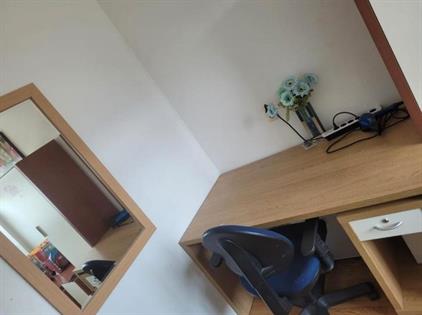 Room for rent 850 euro Crispijnstraat, Den Haag