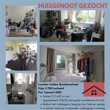 Room for rent 700 euro Brucknerstraat, Leiden