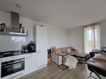 Kamer te huur 1250 euro Windesheimstraat, Den Haag