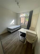 Room for rent 448 euro van Leeuwenhoekstraat, Leeuwarden