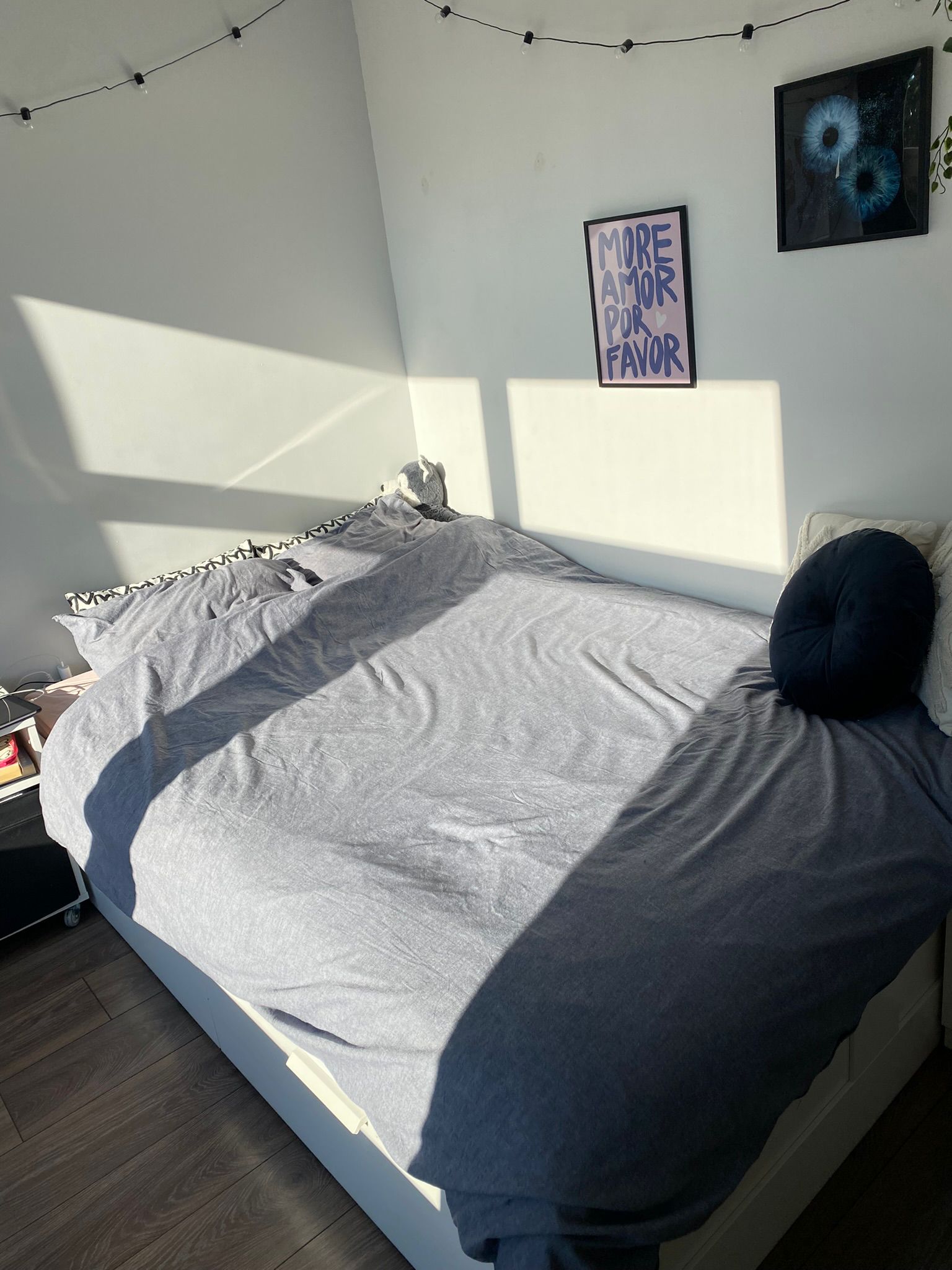 Kamer te huur in Den Haag – Kamperfoeliestraat – foto 3