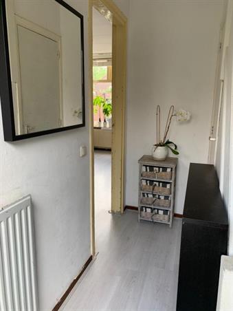 Zimmer bei Kamperfoeliestraat In Nijmegen