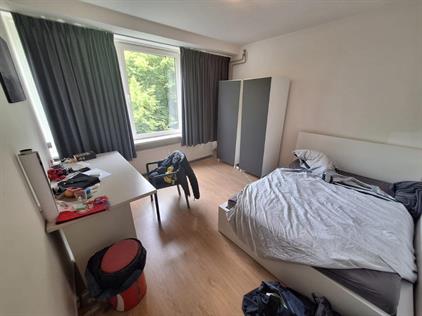 Zimmer zu vermieten 750 Euro Professor Cobbenhagenlaan, Tilburg
