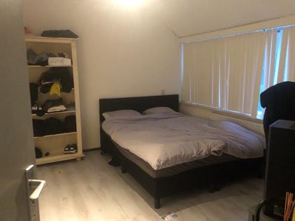 Kamer te huur 499 euro Opaal, Heerhugowaard